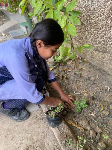 WhatsApp-Image-2025-04-22-at-11.18.05-AM-1