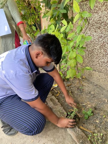 WhatsApp-Image-2025-04-22-at-11.18.06-AM-1