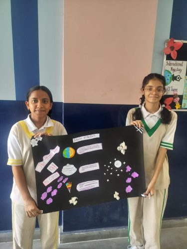 SOCIAL SCIENCE ACTIVITY